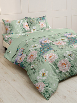 КПБ с простыней бязь Шуя Реноме 